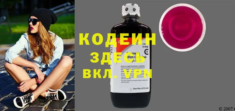 гидра ссылки  купить наркоту  Елизово  Codein Purple Drank 